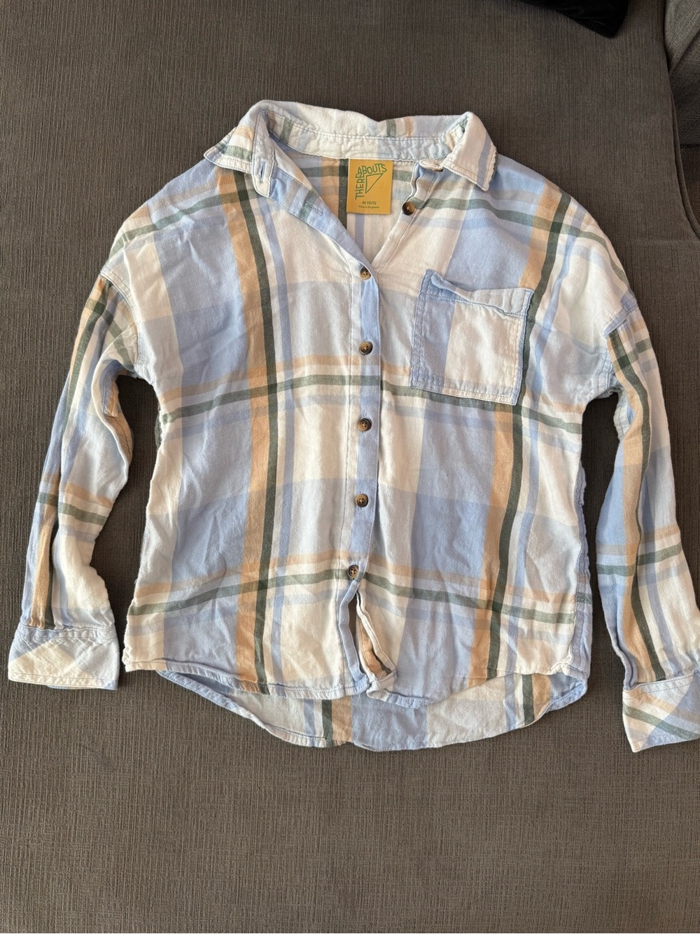 Light Blue & Cream Plaid Button-Up Shirt for Girls by The Animals Observatory